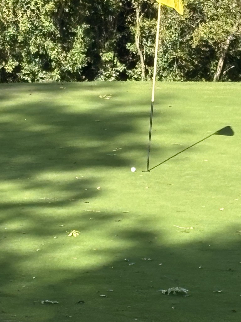 A golf ball sitting just short of the hole beside the yellow flag on the 3rd green at Brynhill